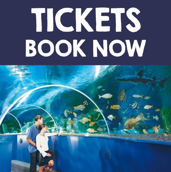 Blue Reef Aquarium Newquay